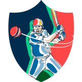 Team logo