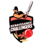 Renaissance Challengers Flag